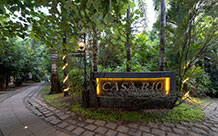 Hospitality Management Company